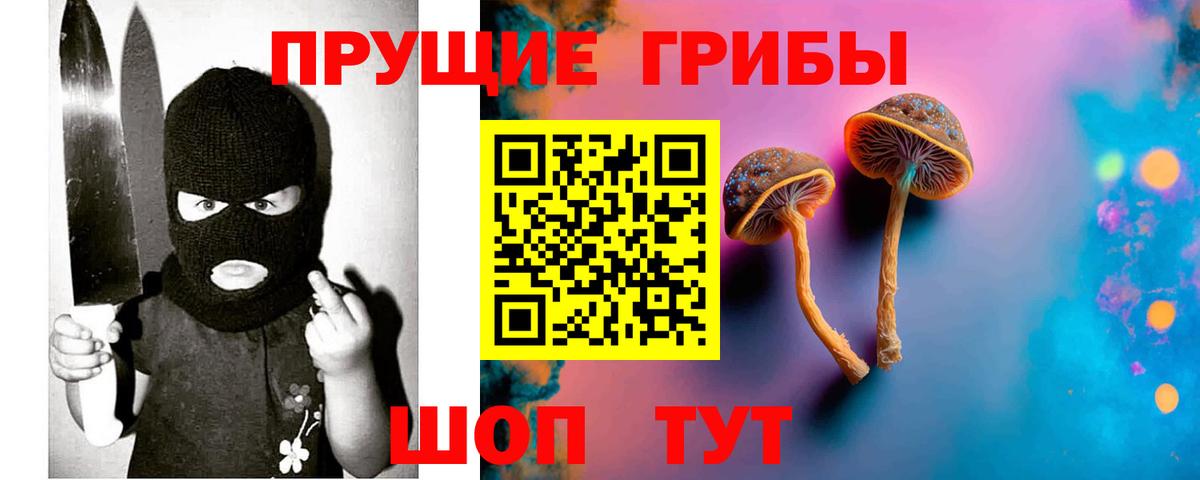 купить наркоту  Галлюциногенные грибы Cubensis  Воткинск  Вход с VPN  Галлюциногенные грибы Cubensis 